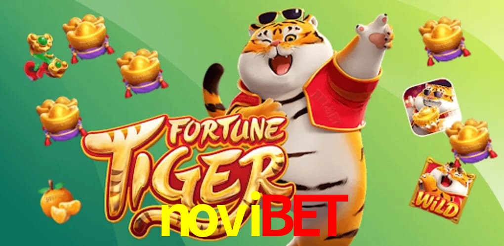 Security Systems novibet