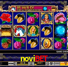 Descubra o Mundo do Cassino Online com novibet